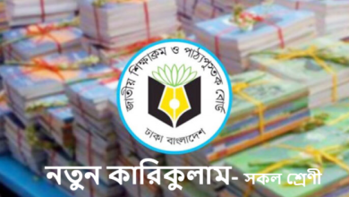 নতুন কারিকুলাম